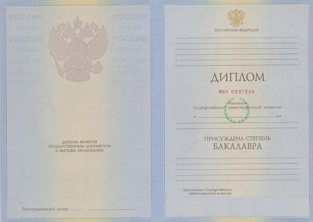 Диплом бакалавра 2010 - 2011 года